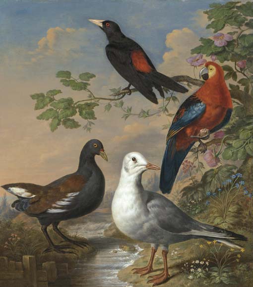 Philip Reinagle A Moorhen, A Gull, A Scarlet Macaw and Red-Rumped A Cacique By a Stream in a Landscape